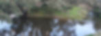 River banner.jpg