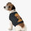 Thumbnail: Who Rescued Who? | Pet Tank Top