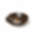 Thumbnail: Hyungi: 04 Hanok Incense Cones