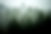 5391236889_0f019ab78d_n.jpg