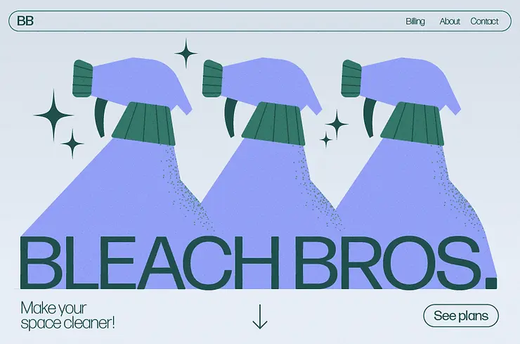 Cleaning website examples