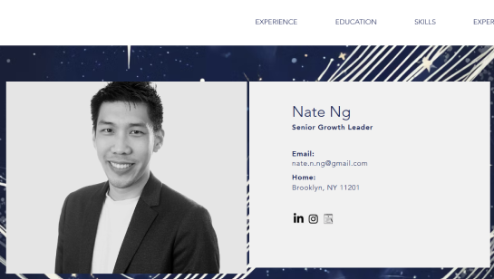 resume website example design 