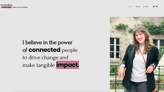 consultant resume website example