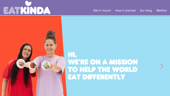 healthy food blog website example