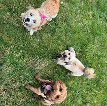 WhatsApp Image 2026-03-12 at 2.33.29 PM (8).jpeg