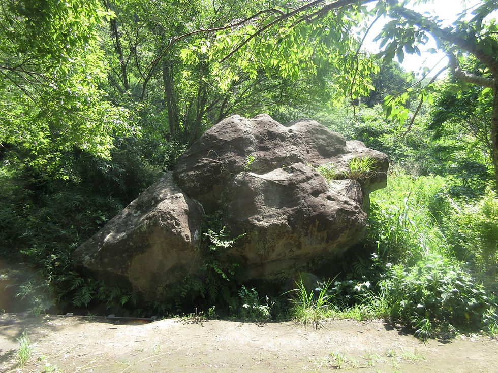 裏口近くでたたずむ獅子石　よく見ると右がライオンの横顔　左側は猪の横顔にも見える　どちらにしても「シシ」ではある