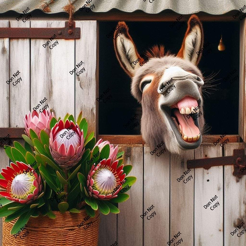 Thumbnail: Build your own Donkey kitchen set
