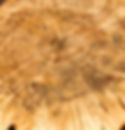 Live Edge Wood Creation