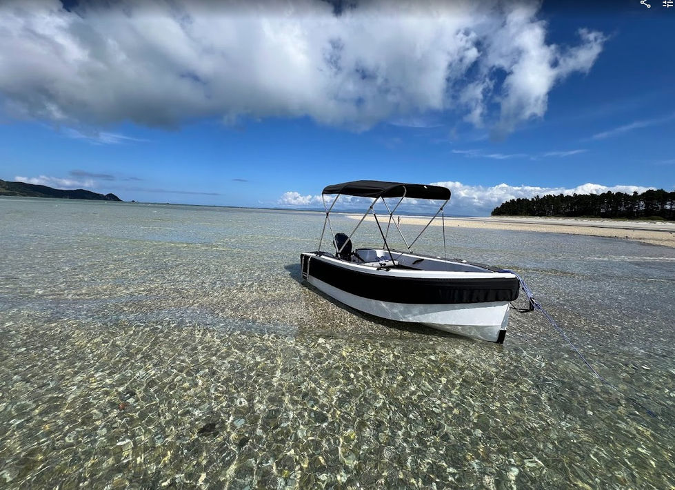 ONETenders M35 with bimini