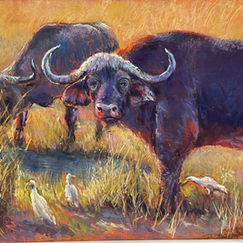 Water Buffalo.jpeg