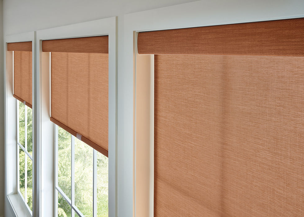 Roller Shades