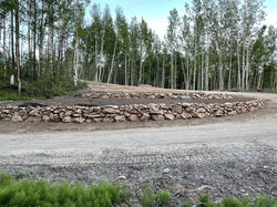 Corina Retaining wall Before pt2.JPG