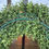 Thumbnail: 17.5 Round UV Boxwood Wreath
