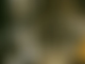 The Key to YOUR Shift: A Powerful Coaching Conversation