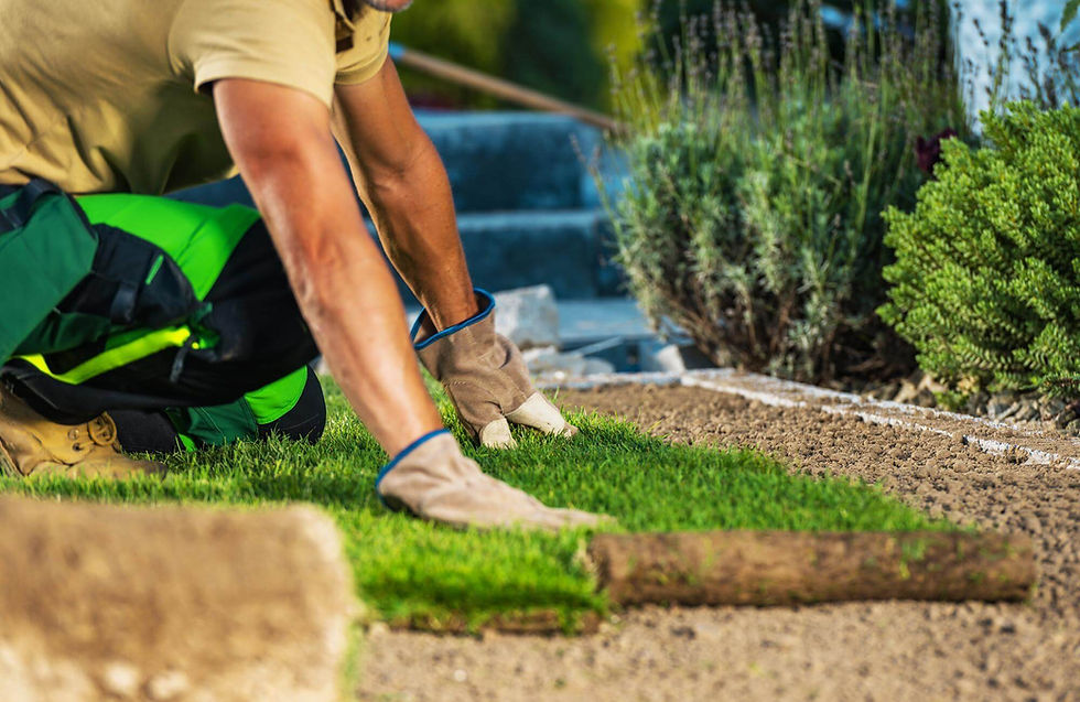 natural-grass-turfs-installation-garden