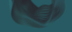 AM_web_header_10.jpg