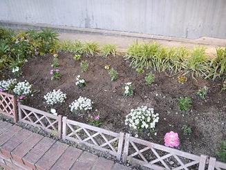 ash201405012 021.jpg