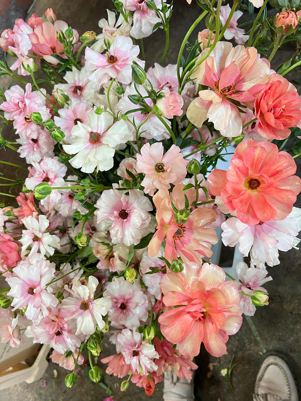 Pick Your Own Flowers