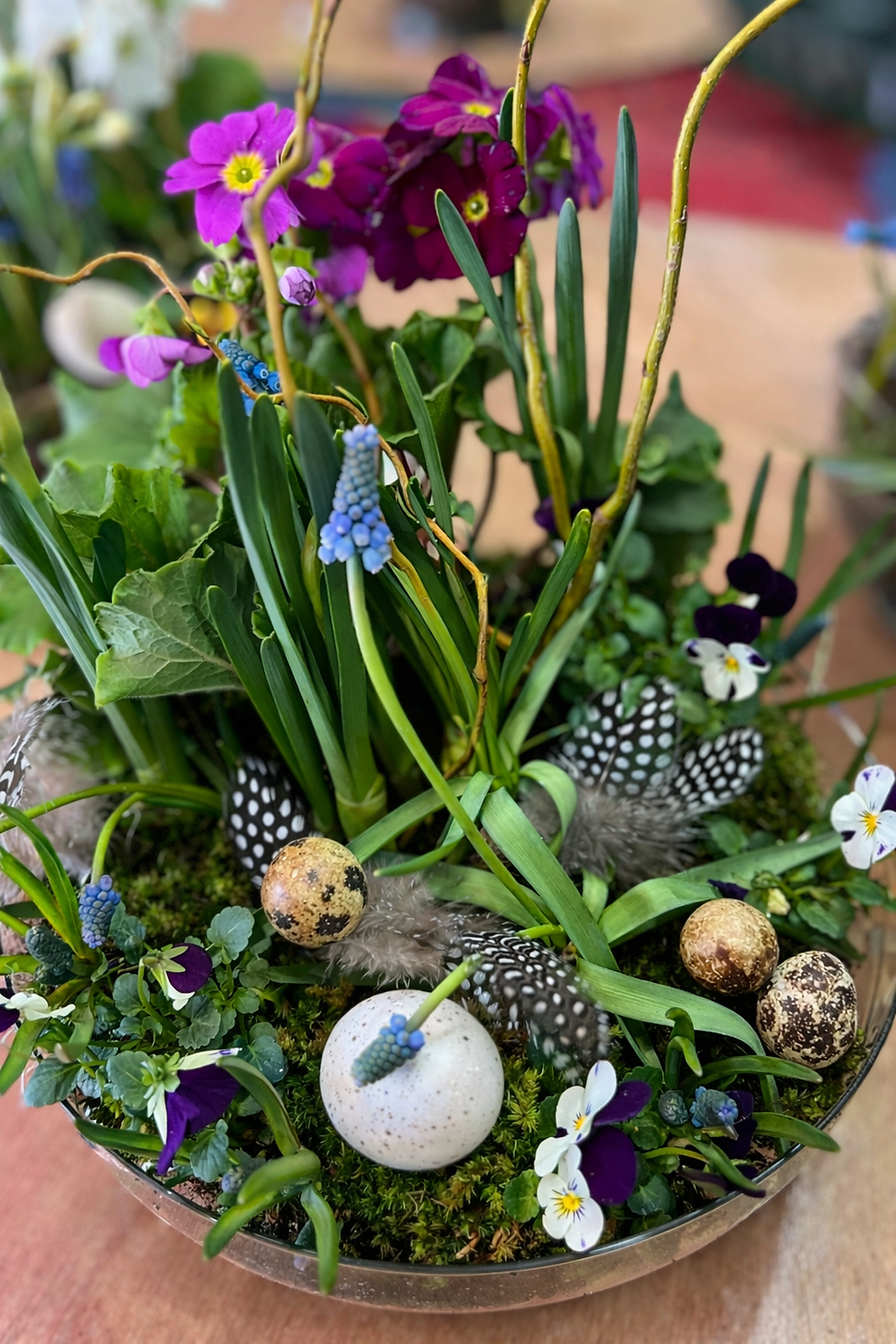 🌼 Living Spring Planter Workshop