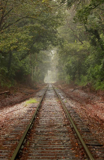 Train tracks in Atlanta with an etherial mood