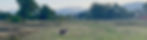 Screenshot 2023-10-25 at 8_edited.jpg