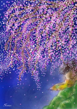 冬の桜