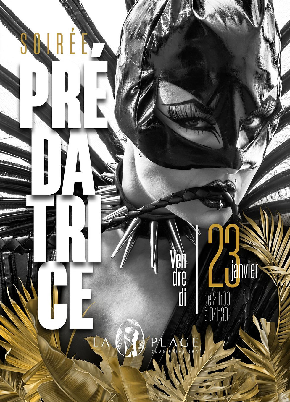 😜🦅SOIRÉE PREDATRICE🦅😜