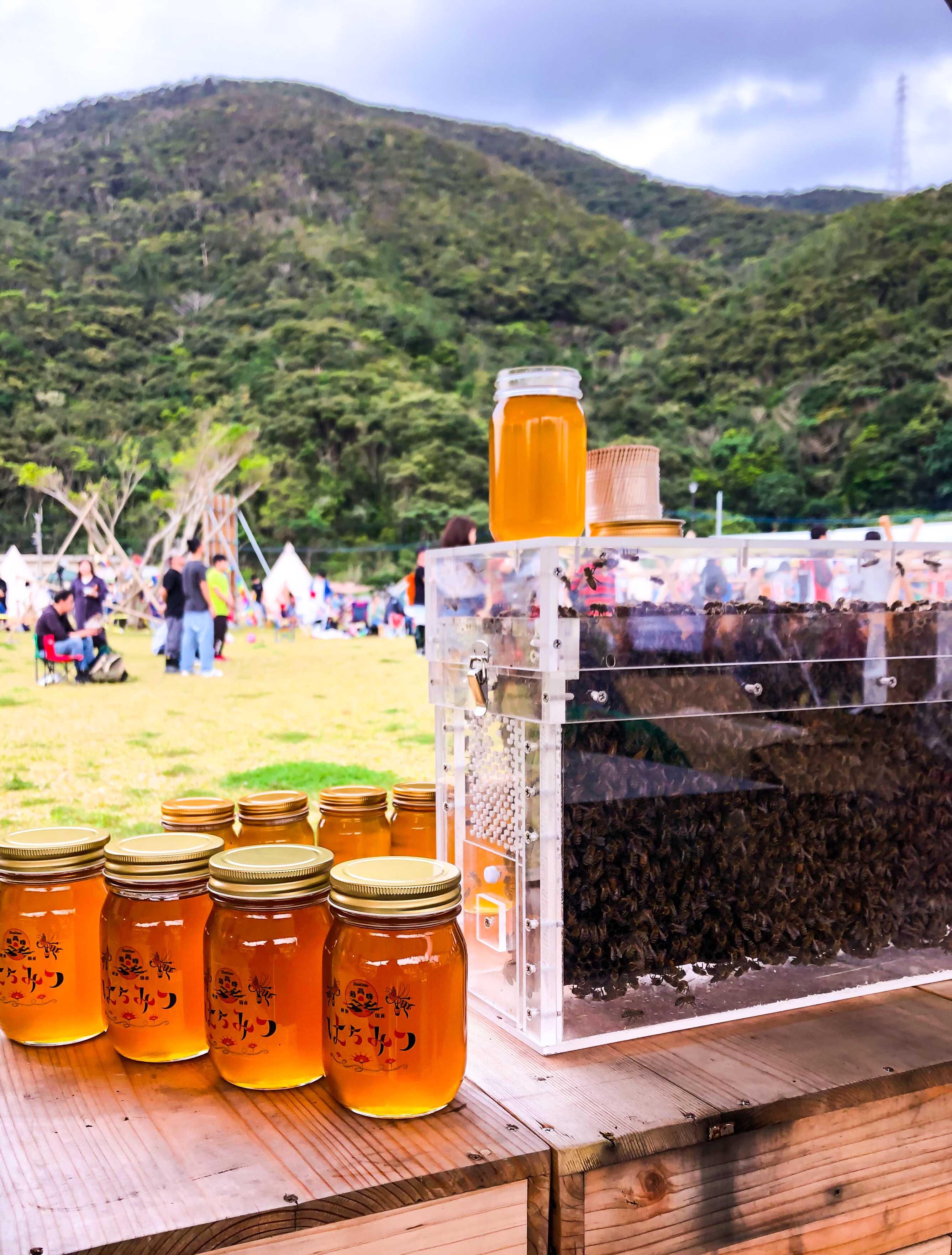 最高蜂蜂蜜屋 | 日本