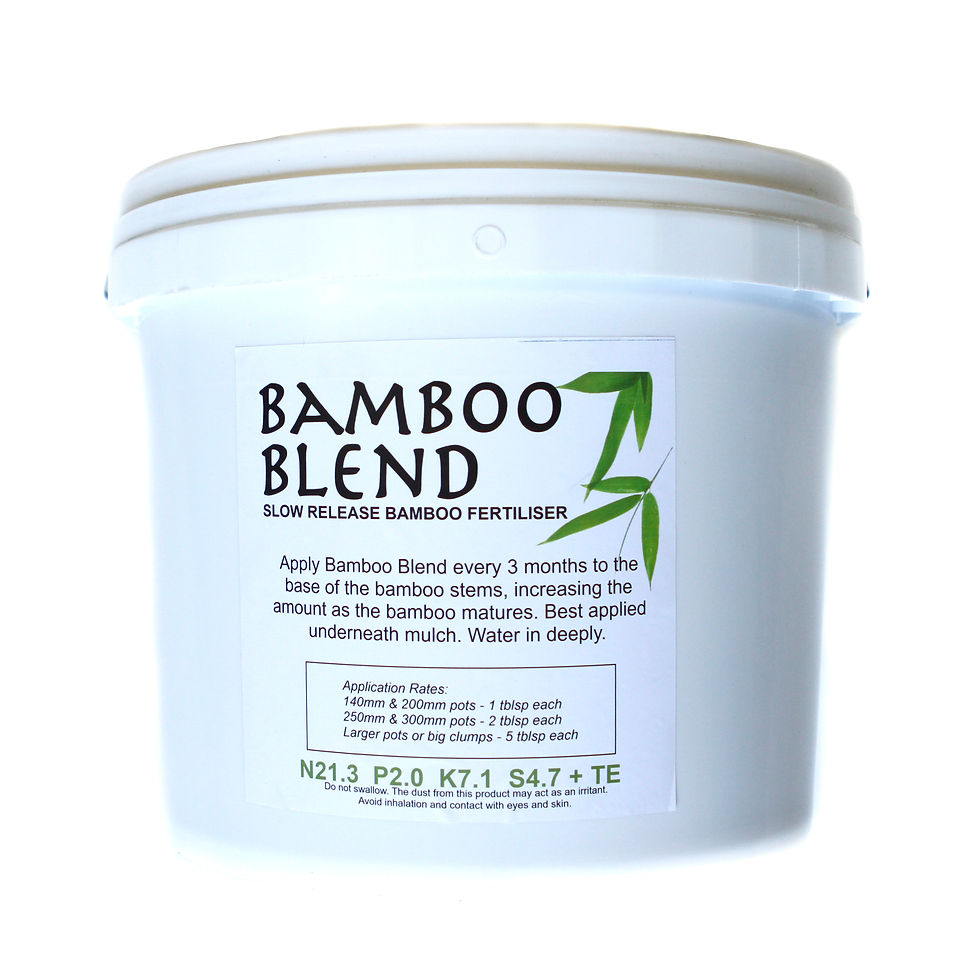 Bamboo Blend