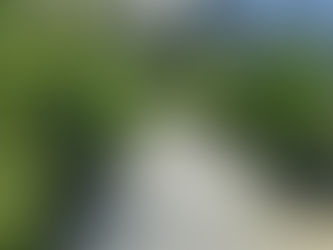 New Year, New Website, New Shadehouse!