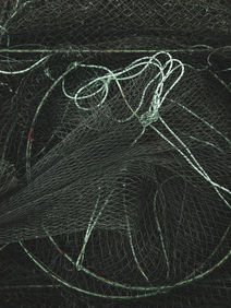 reportage photo aquaculture crevettes palourdes marais loire-atlantique femme aquacultrice