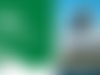 Olimpiadi di Parigi 2024: Un'Olimpiade Verde, un Futuro Sostenibile