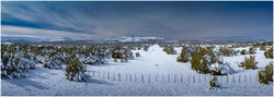 Arizona High Desert Snow