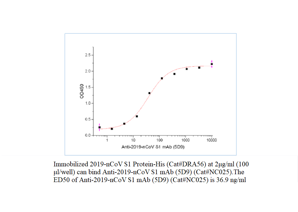 Anti-SARS-CoV-2 Spike (5D9)
