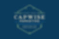 Capwise Main Logo - Blue Background.jpg