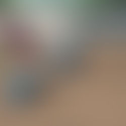 Exclusive Porcelain Paver Patterns by Landcraft: Creating Distinctive Outdoor Spaces