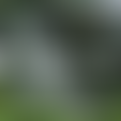 Landcraft Pavers and the Future of Eco-Conscious Landscapes