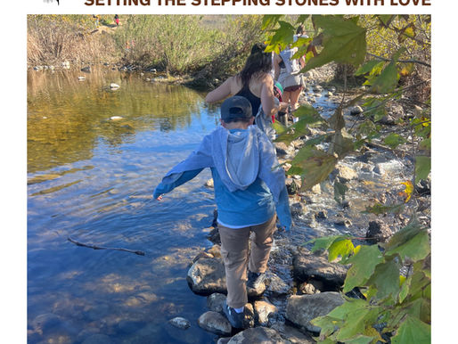 Kids crossing a creek stone by stone