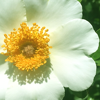 img_7395.png