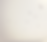 BIRDSMANHATTANBEACH_edited_edited.png