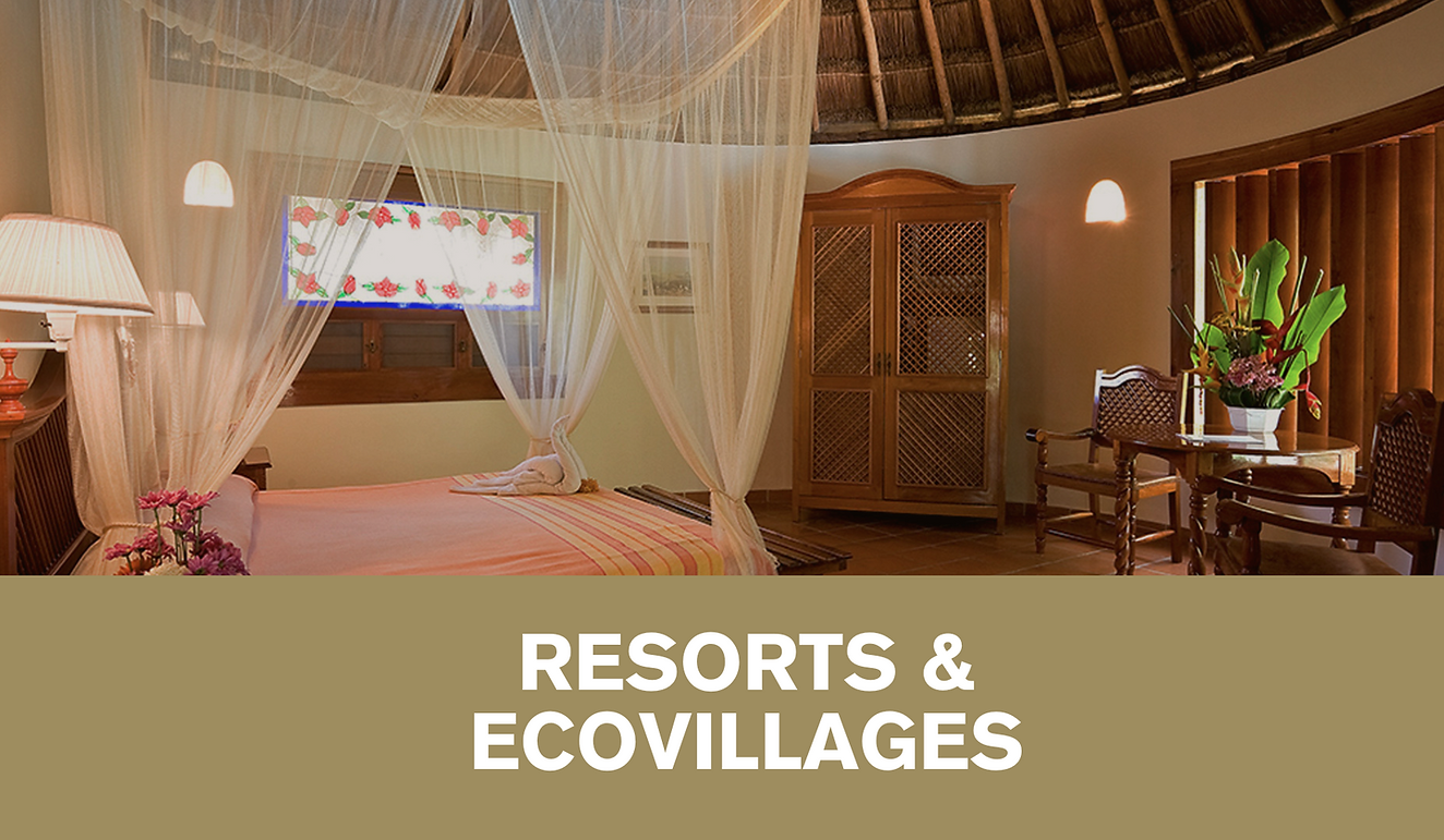 SP_Magazine_Directory_Categ (Video)-2.png