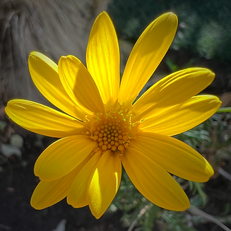 img_0174.png