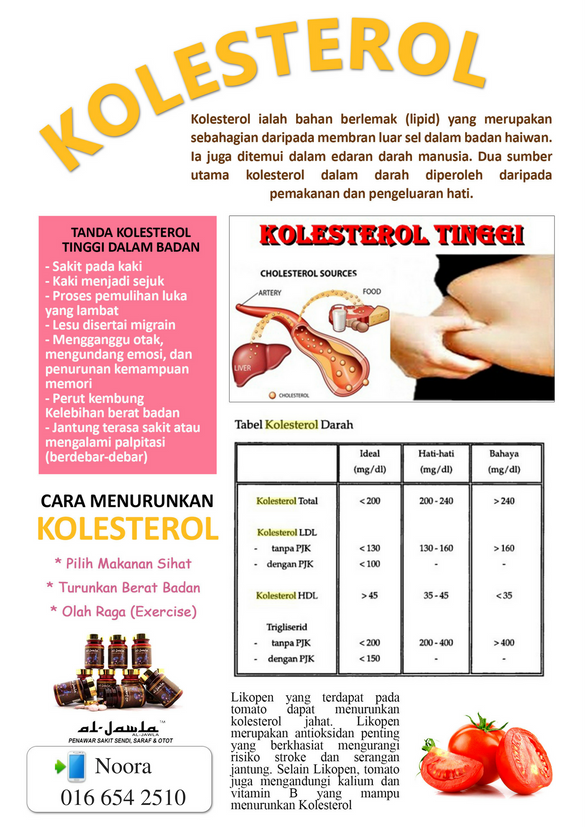 Tips Mengurangkan Kadar Kolesterol Dalam Badan untuk kembali sihat.