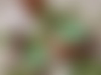 Case Study - Nasal Inhaler/Foot Scrub