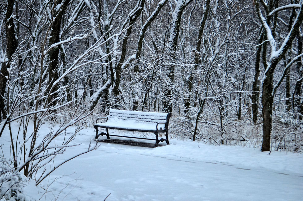 The Empty Bench Chronicles, Vol. 1