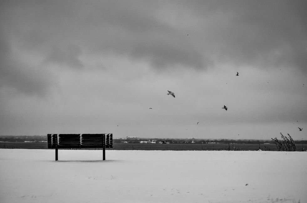 The Lonely Bench Chronicles, Vol. 3