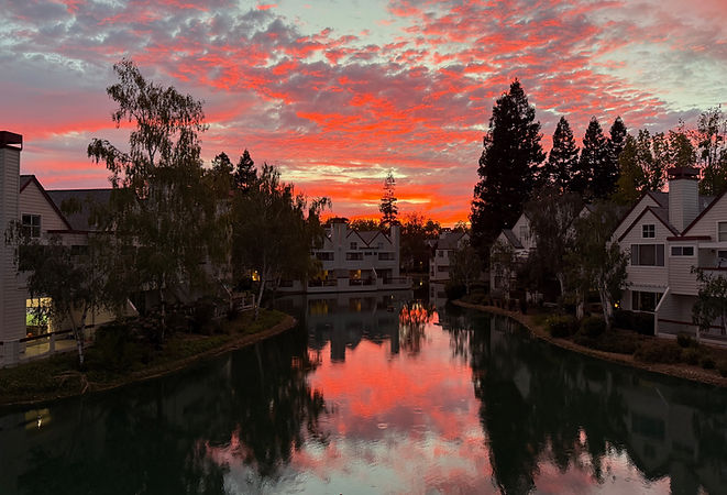 Red sunset reflected in a neighborhood lagoon beneath silhouetted trees.