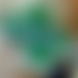 L’insegna della farmacia ed i conflitti sull’autorizzazione