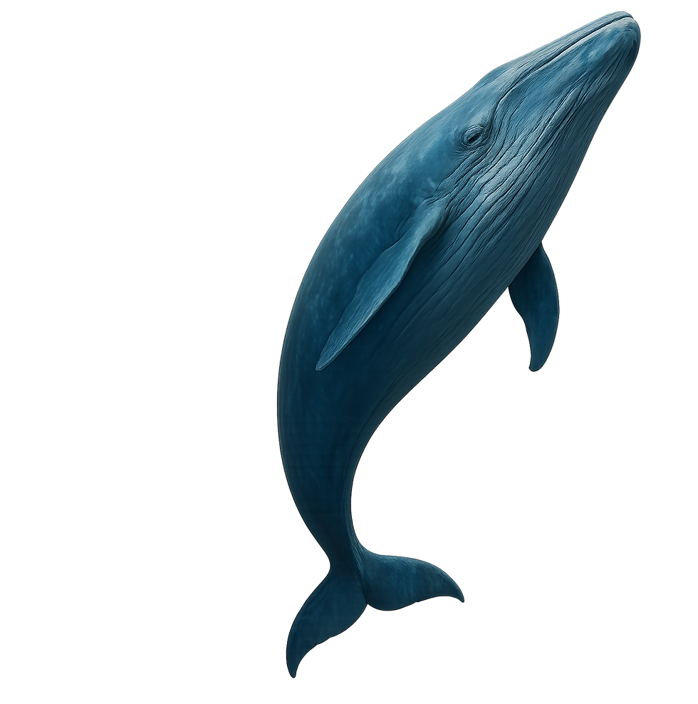 Flying Whales Ad Films