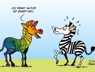 Zwart Wit of toch Grijs